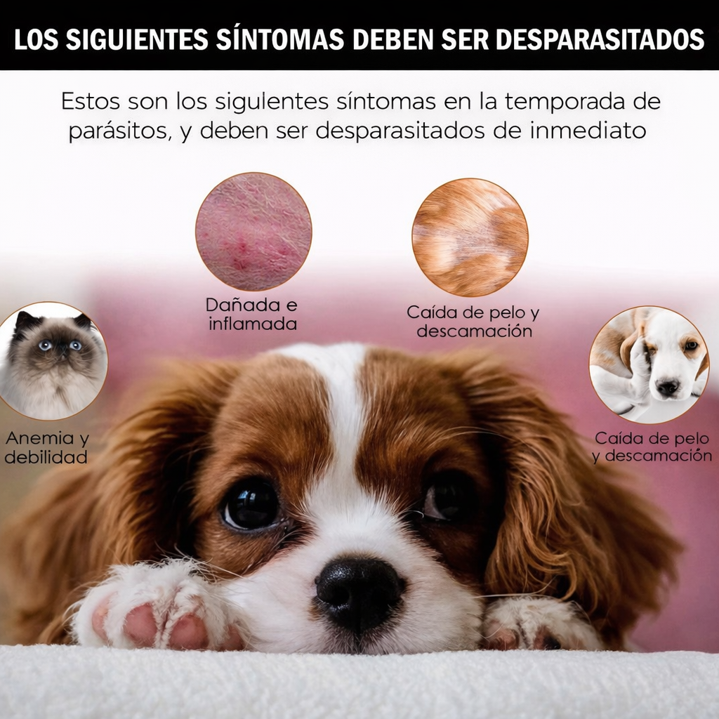 Gotas repelentes de garrapatas y pulgas para gatos y perros + ENVÍO GRATIS 🚚