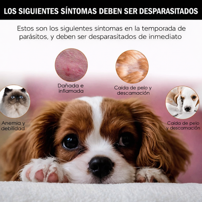 Gotas repelentes de garrapatas y pulgas para gatos y perros + ENVÍO GRATIS 🚚