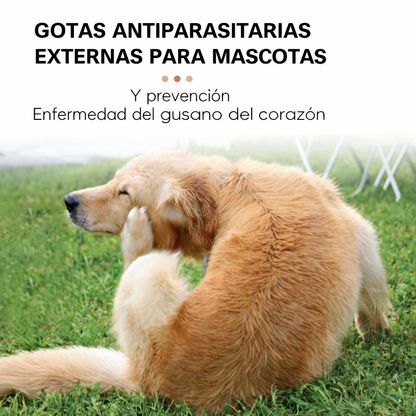 Gotas repelentes de garrapatas y pulgas para gatos y perros + ENVÍO GRATIS 🚚